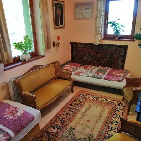 Székesfehérvár Vizaknai Apartmanhaz מראה חיצוני תמונה