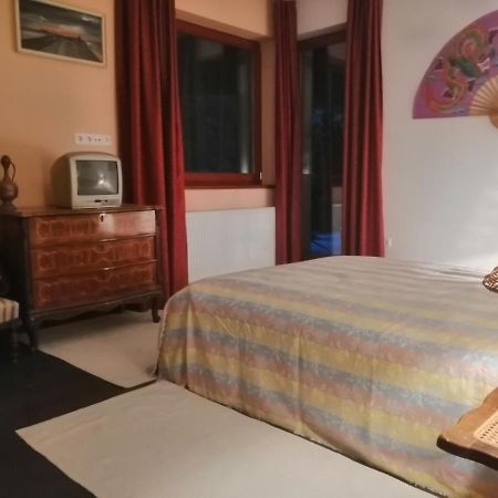 Székesfehérvár Vizaknai Apartmanhaz מראה חיצוני תמונה