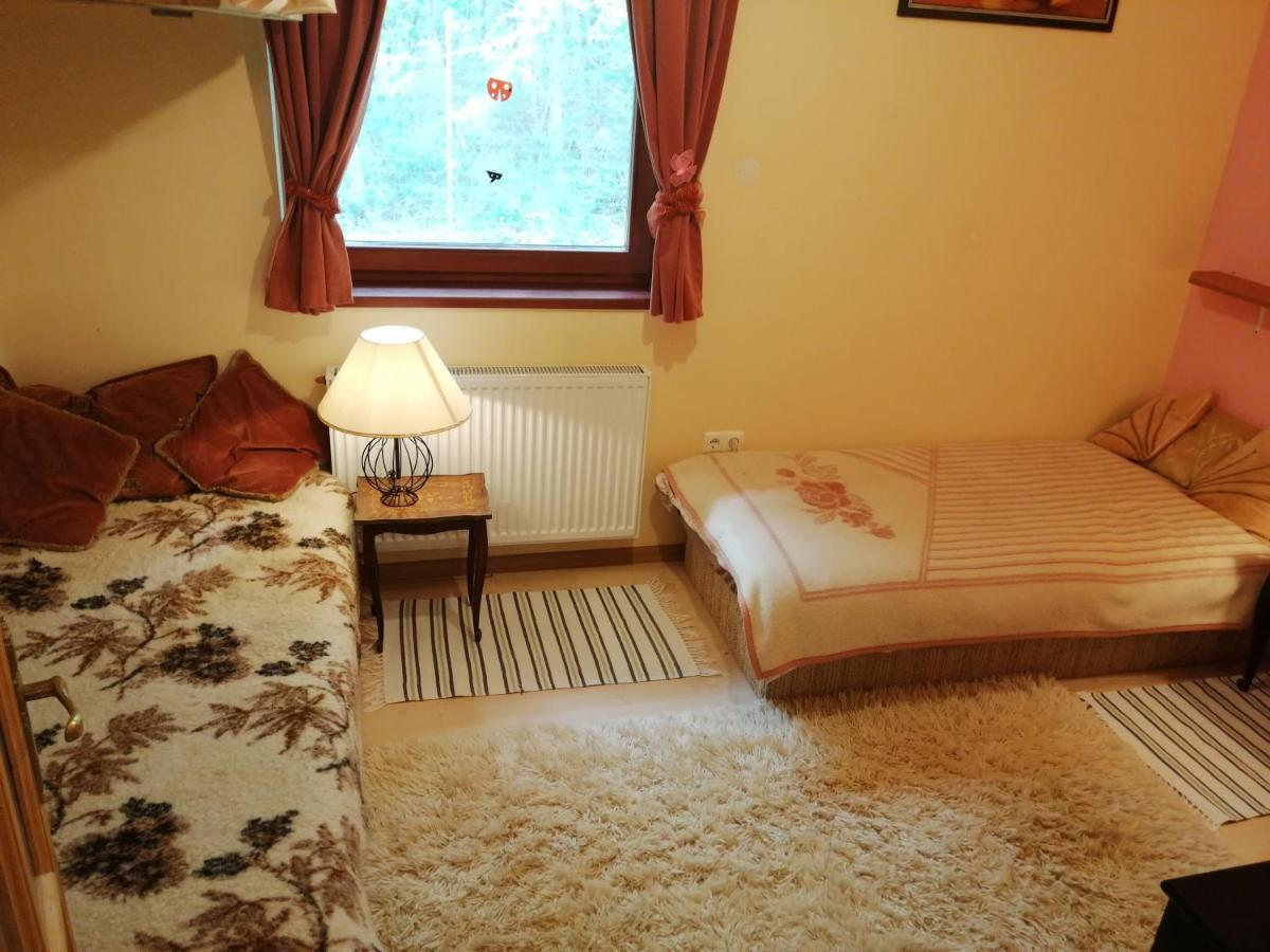 Székesfehérvár Vizaknai Apartmanhaz מראה חיצוני תמונה