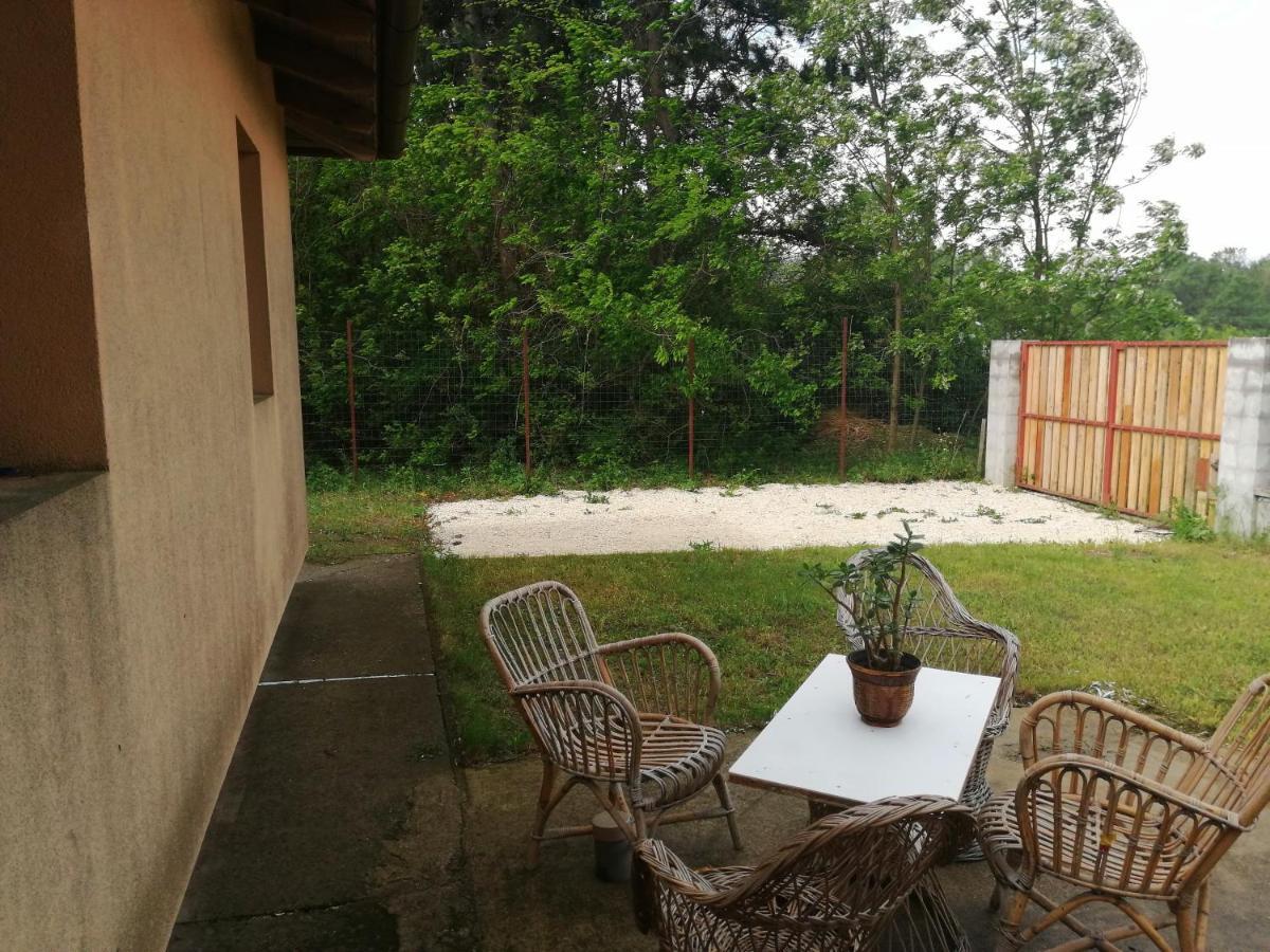 Székesfehérvár Vizaknai Apartmanhaz מראה חיצוני תמונה