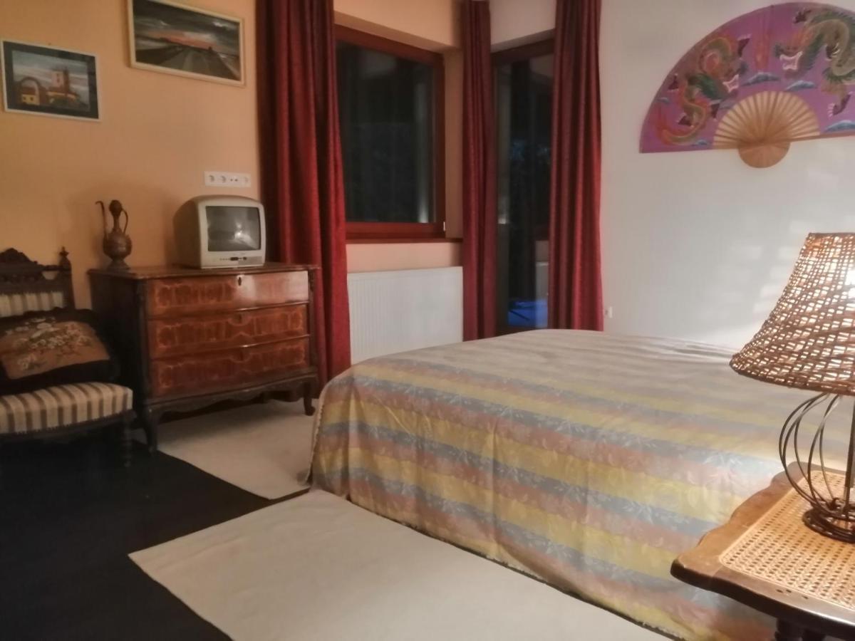 Székesfehérvár Vizaknai Apartmanhaz מראה חיצוני תמונה